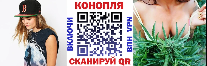Марихуана семена  Касли 